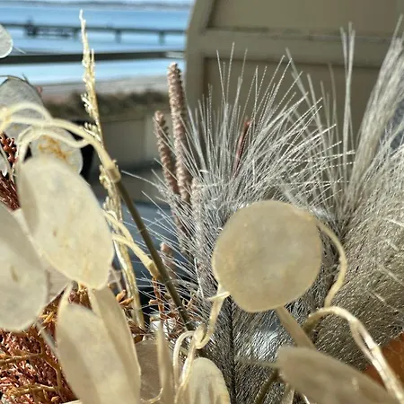 Appartement Bellevue-haus-a-wohnung-21 *